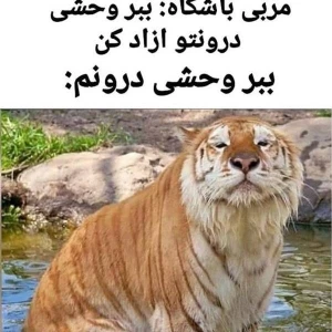 کاور