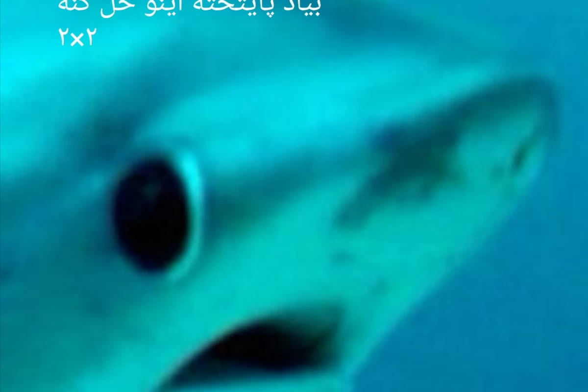 عکس سم جدید