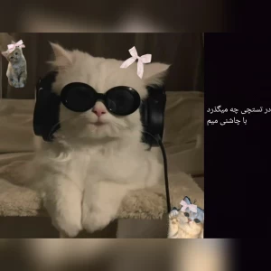 کاور