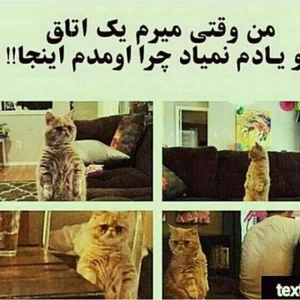 کاور