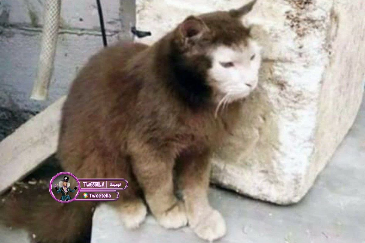 عکس سم خالص آوردم😂P7
