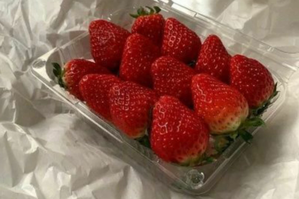 عکس روتین برای قبل مدرسه میخوای؟بیا تو