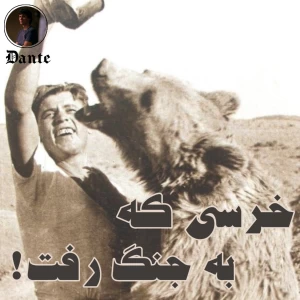 کاور