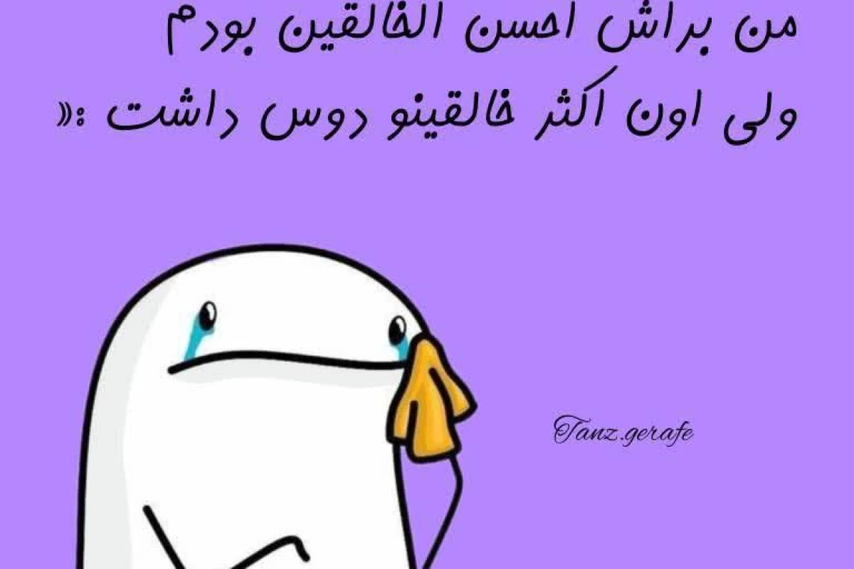 عکس میم ۱۲