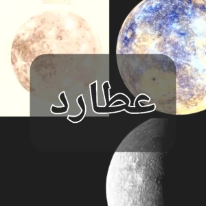 کاور