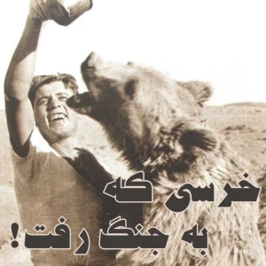 کاور