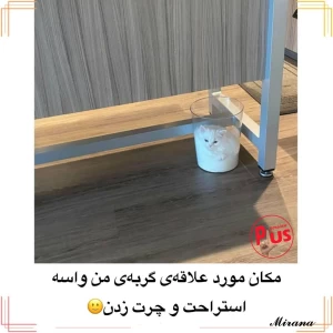 کاور