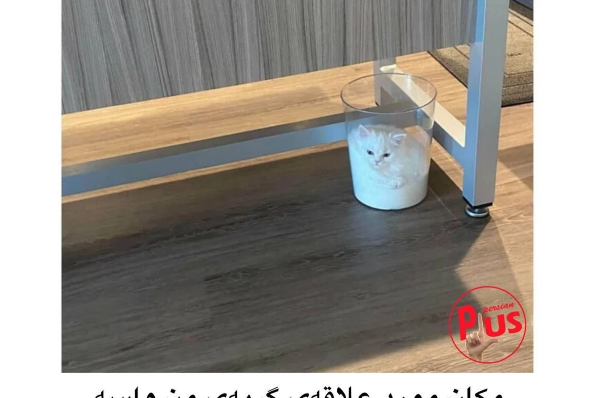 عکس گوبای عجیب!