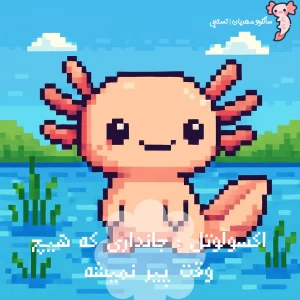 کاور