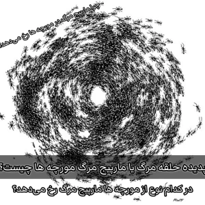 کاور