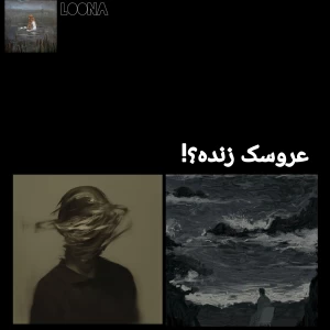 کاور