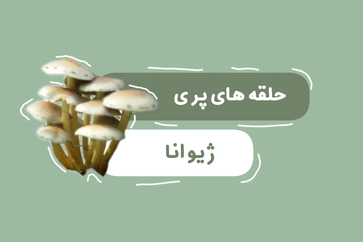 عکس حلقه‌های پری