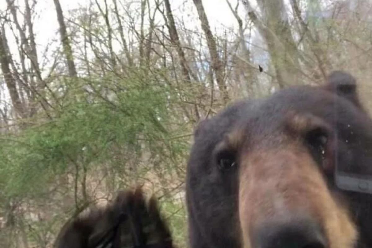 عکس میـم به سبـک نوســتالژی !