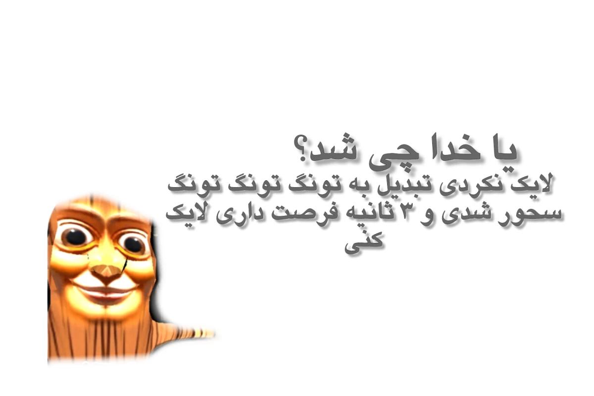 عکس ؛اعضای آیزوان چیکار میکنن؟