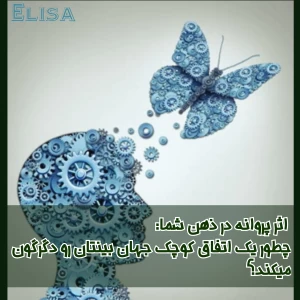 کاور
