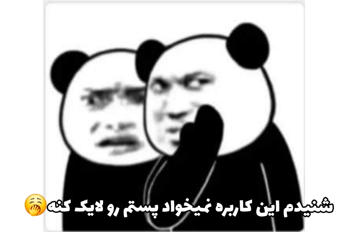 عکس میم رندوم: