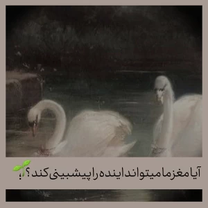 کاور
