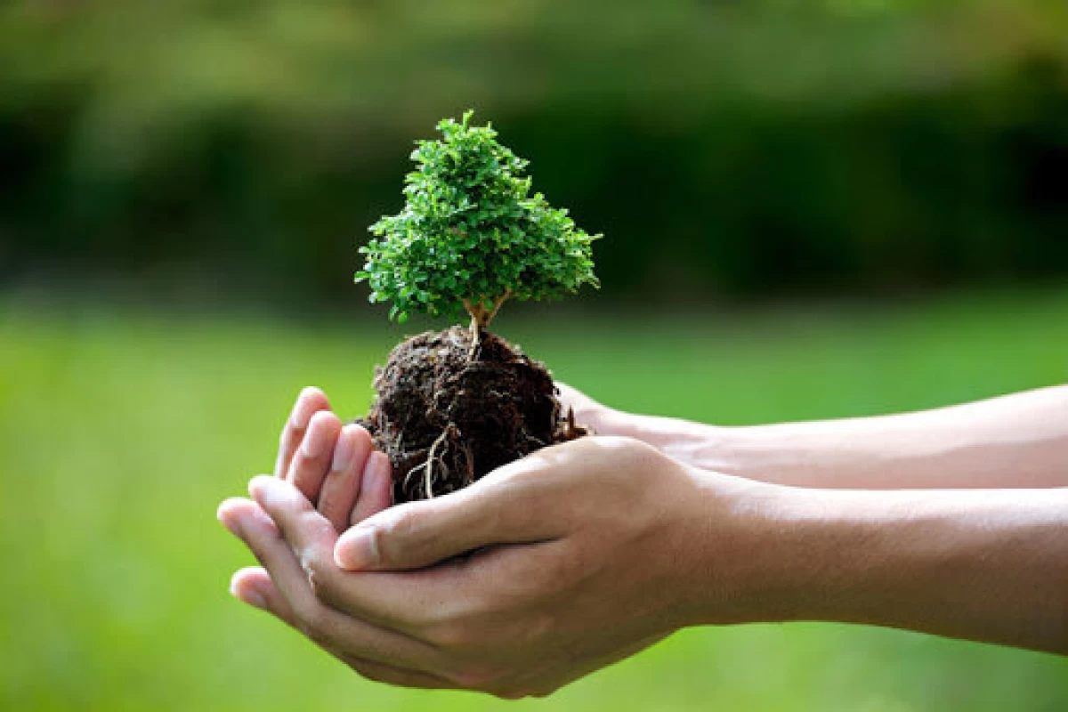 عکس انواع زیست بوم ها