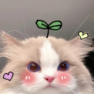 عکس *𝑨𝒗𝒊𝒏𝒂*