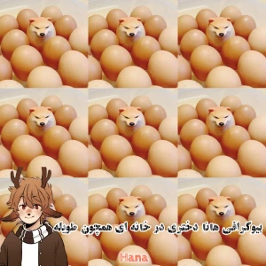 عکس هانا موجودی نجیب