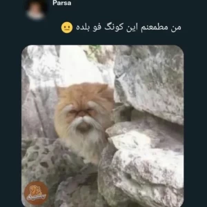 کاور