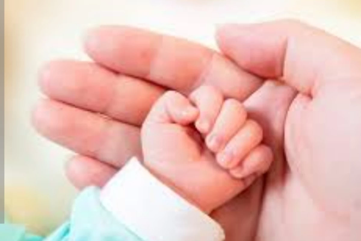 عکس چرا بعضی از افراد چپ دست هستند؟