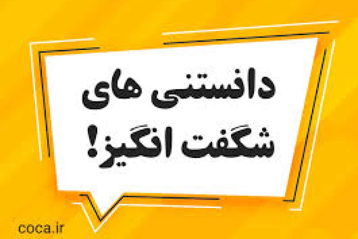 عکس آیا میدانید؟