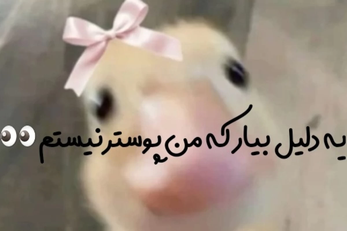 عکس میم جدید¹⁵
