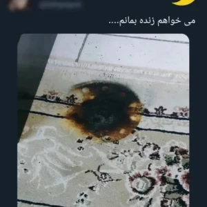 کاور