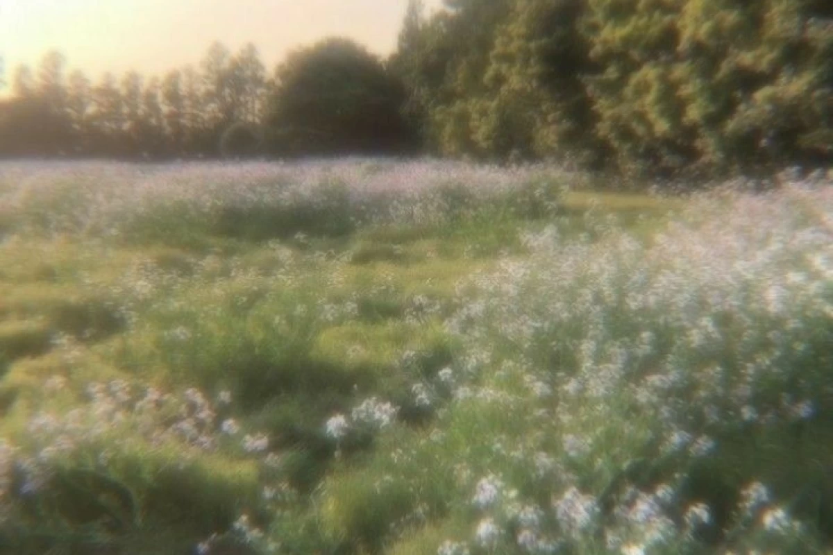 عکس عـوض شـدی(فان ور)