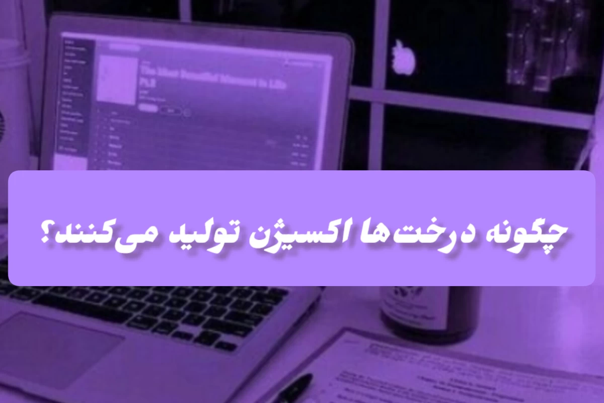 عکس چگونه درخت‌ها اکسیژن تولید می‌کنند؟