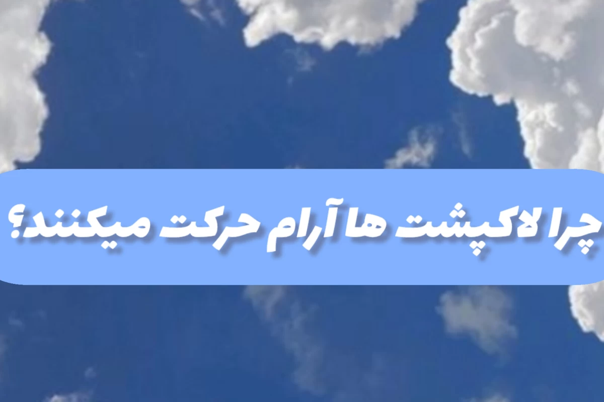 عکس چرا لاک‌پشت‌ها آرام راه می‌روند؟