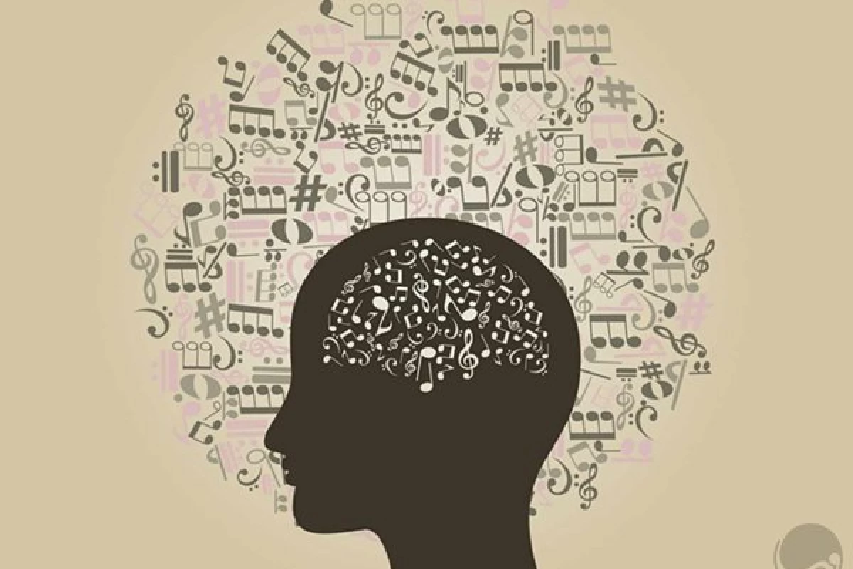 عکس چه نوعی از موسیقی به هوش تو کمک می‌کند؟ 🎶
