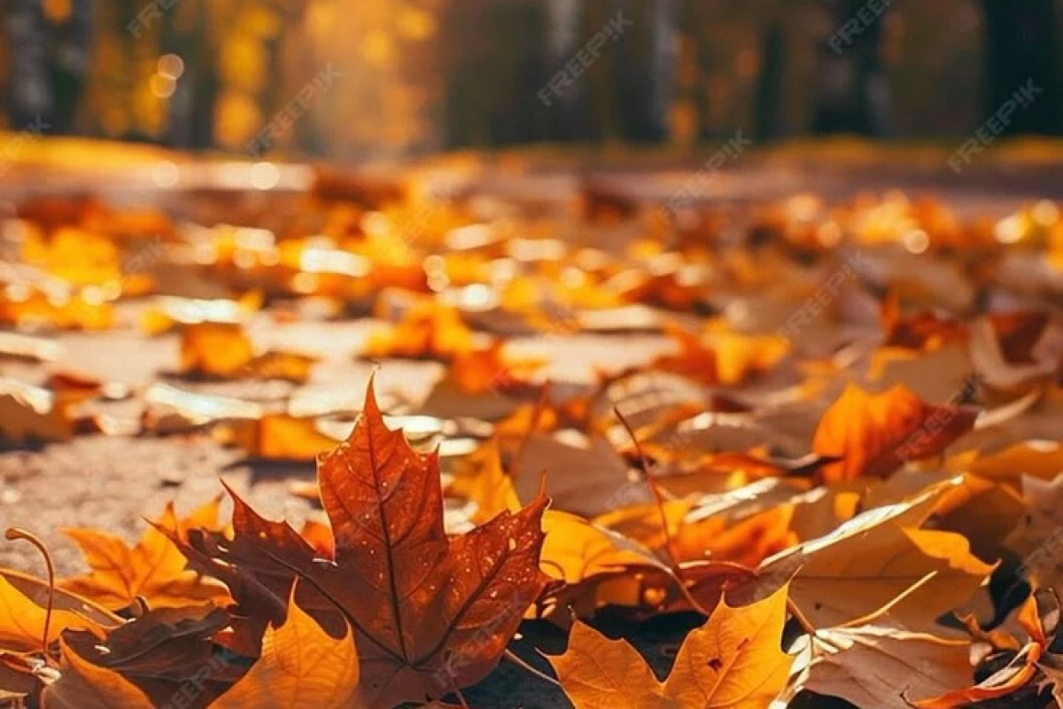 عکس انیمیشن های که اگر نبینی از دست شون دادی