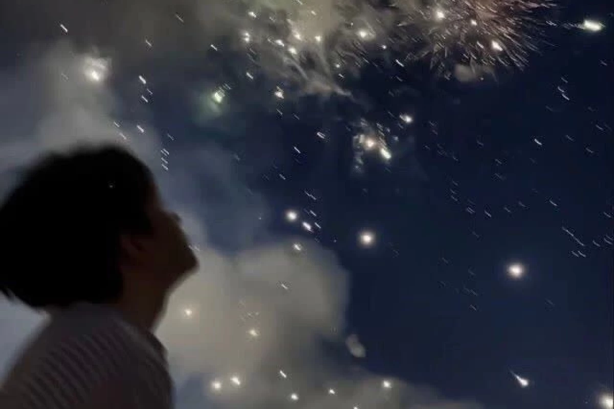 عکس اطلاعات‌لورفته‌ازنیلوانا؛
