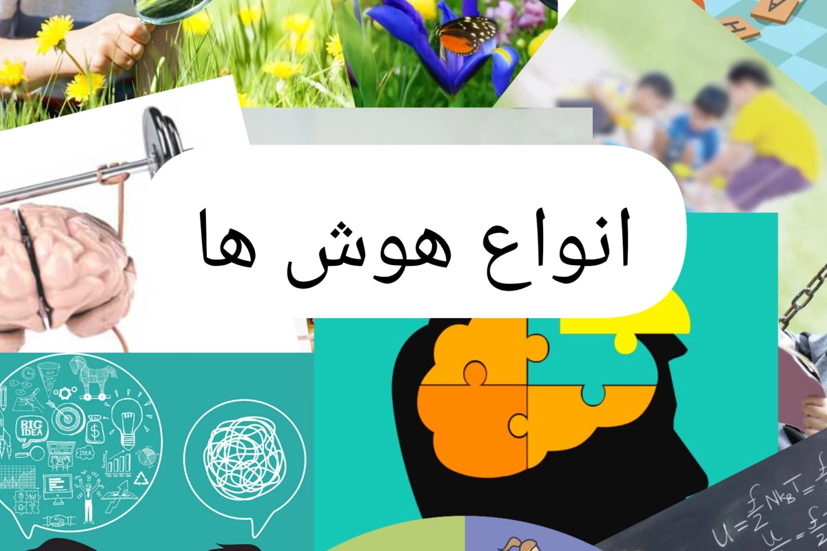 عکس انواع هوش