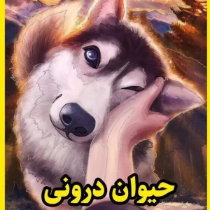 کاور