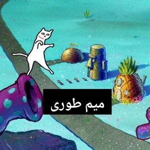 کاور