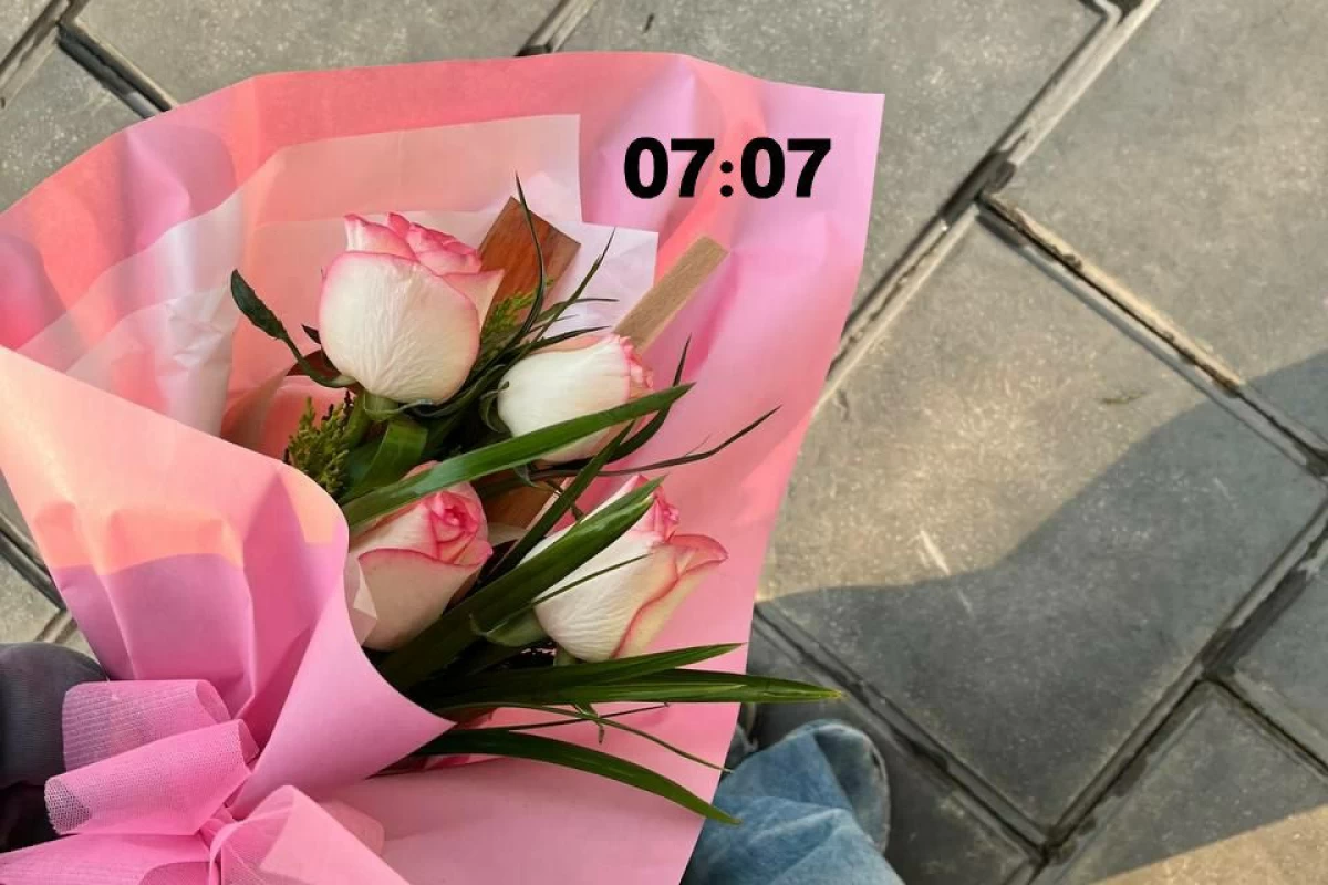 عکس معرفی دوباره