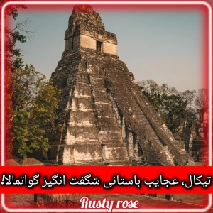 کاور