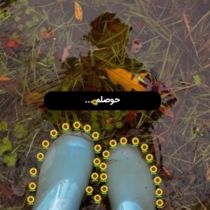 کاور