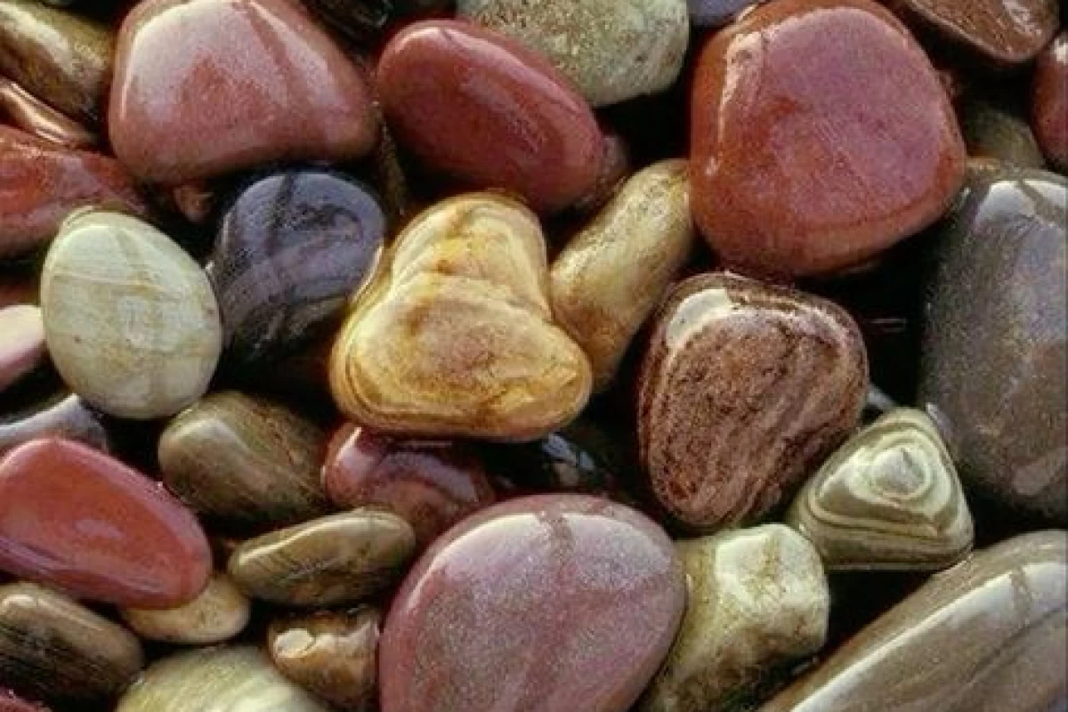 عکس وقتی حوصله نداریم چکار کنیم...