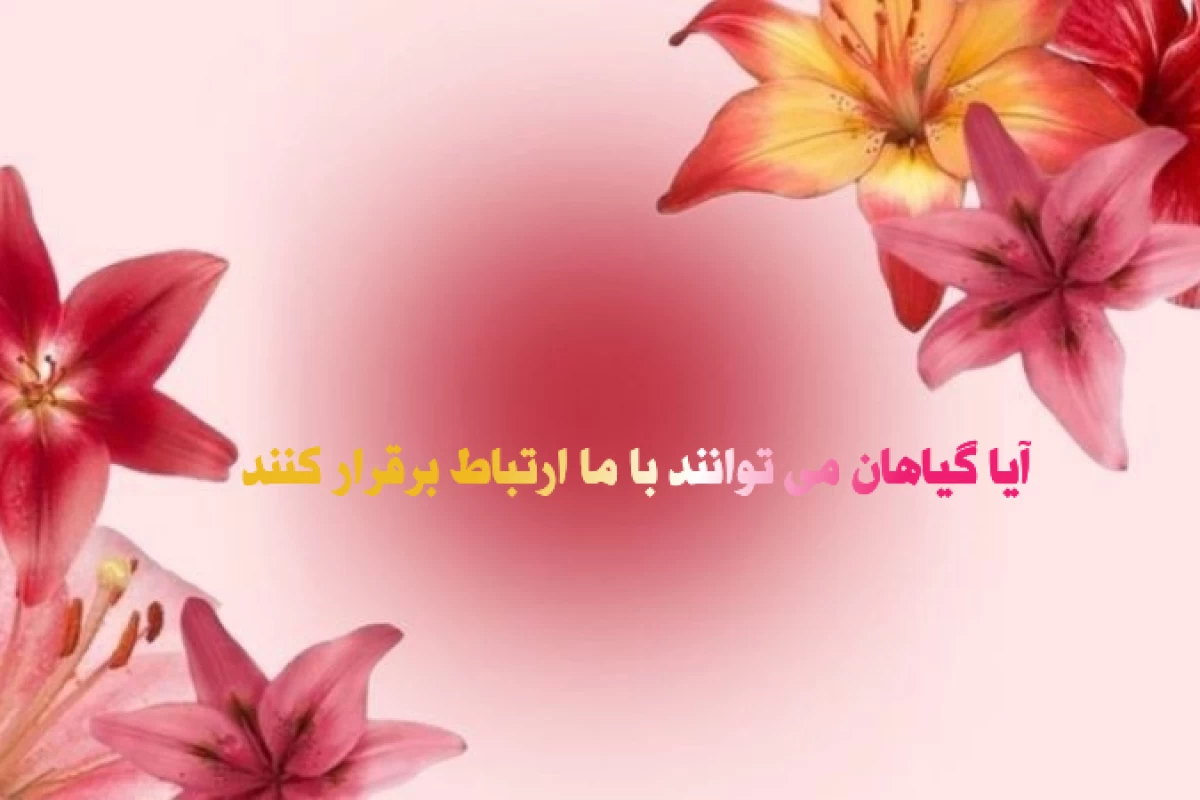 عکس آیا گیاهان می توانند با ما ارتباط برقرار کنند؟