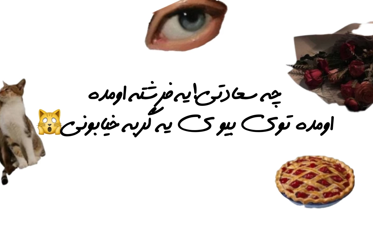 عکس یه گربه سیاه