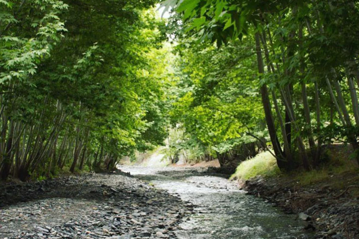عکس عجیب ترین مکان های ایران