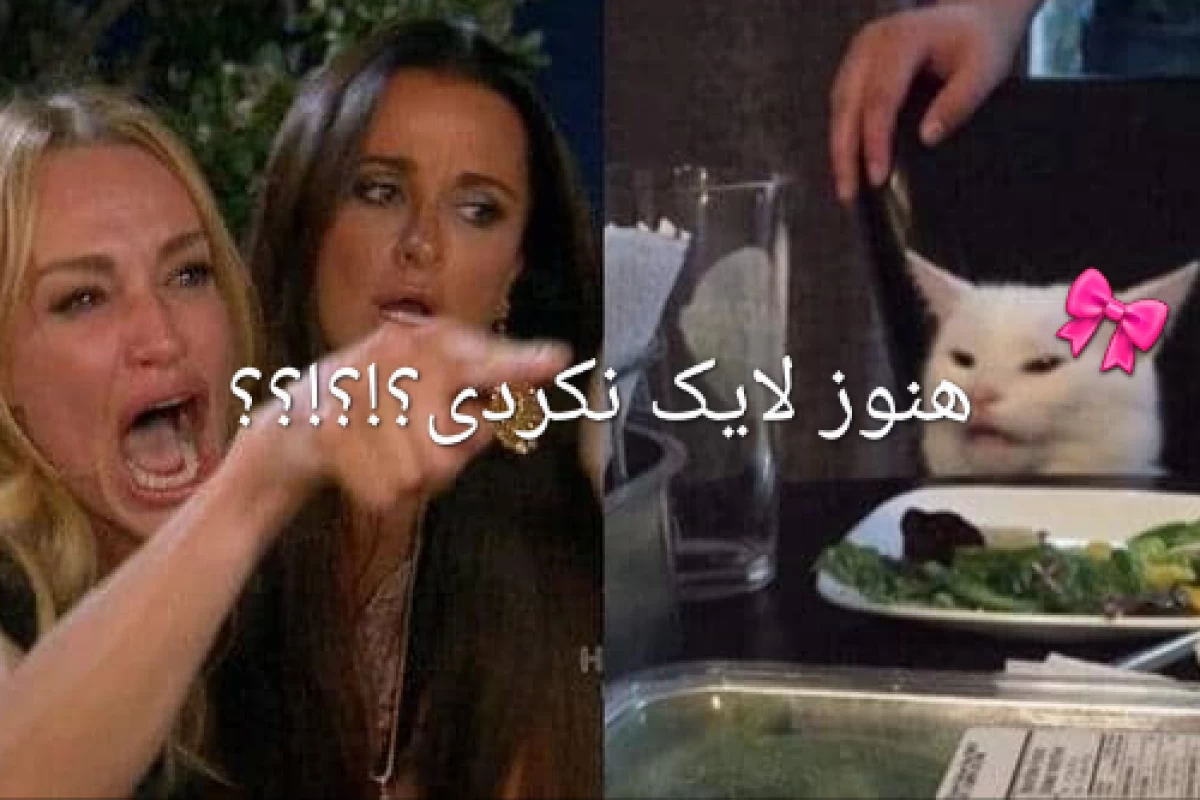 عکس میم از حال و هوای این روزا:)