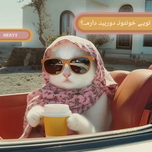 عکس توی خونتون دوربین دارم؟(فان)