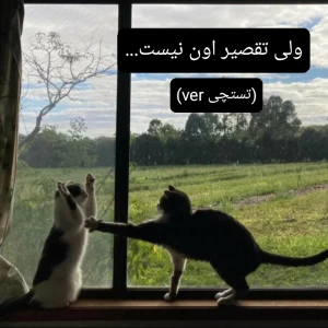 کاور