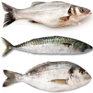کاور