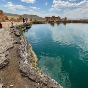 کاور
